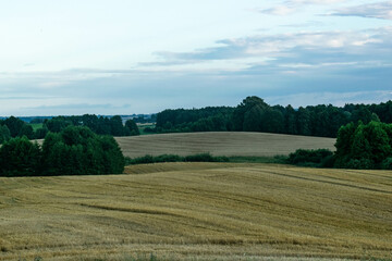 Endless farmland with crops, lush greenery, and a serene sky.