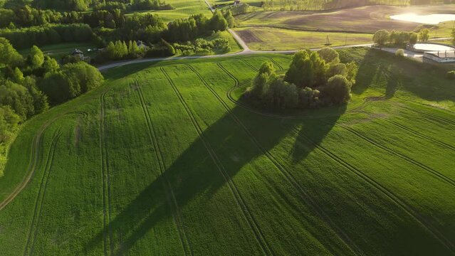 Bird's eye view of agricultural area and green wavy fields in sunny day. Beautiful Nordic country Estonia on a summer evening. Agronomic industry. Woodland and farm fields in countryside on a sunset.