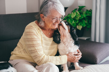 Senior woman exchange cuddles with her cavalier king Charles dog sitting together on home sofa. Pet...