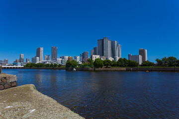 summer sky and urban garden 46