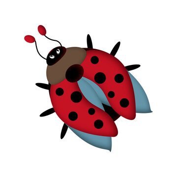 cute stid red ladybug with blue wings