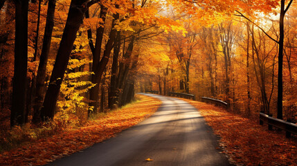 Beautiful autumn fall landscape, backgrounds, desktops, wallpaper etc
