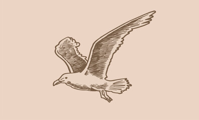 Vector vintage illustration of sea-gull ,graphical drawing of bird