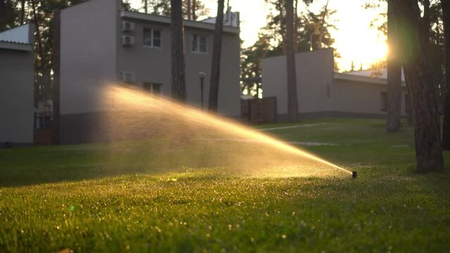 Automatic lawn sprinkler at sunset. Watering