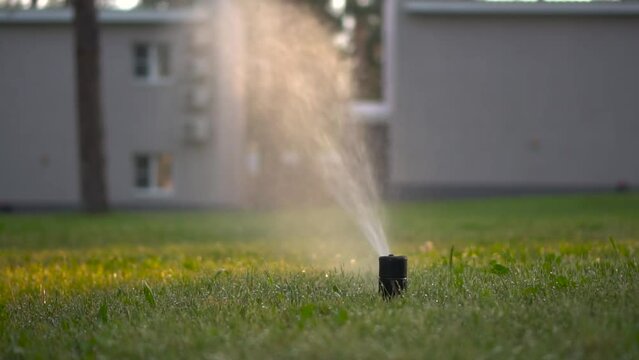 Automatic lawn sprinkler at sunset. Watering