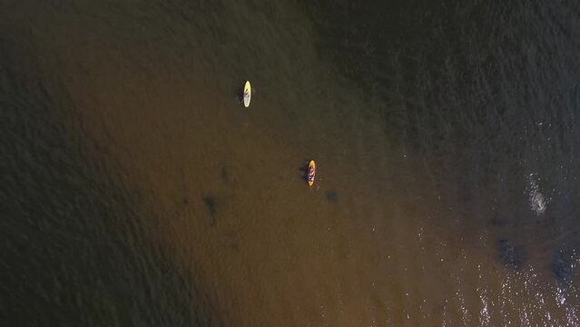Two sapsurfers are floating on the river.