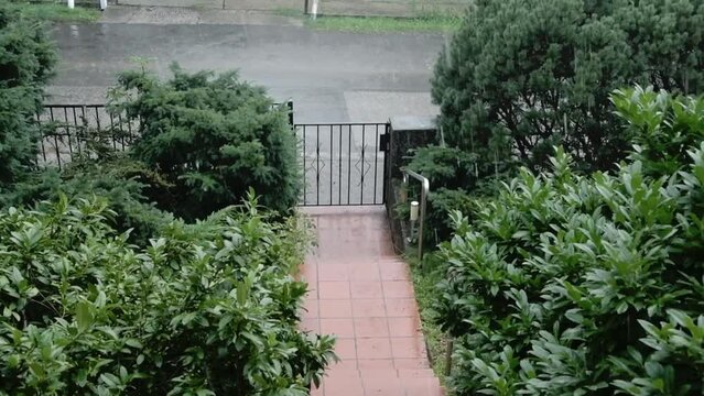Metal fence with wicket, pouring rain, bushes alon