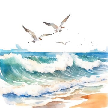 seagulls on the sea