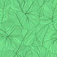 Abstract art nature green background.Modern shape line art wallpaper. Boho foliage botanical tropical leaves and floral pattern design for summer sale banner , wall art, prints and fabrics.