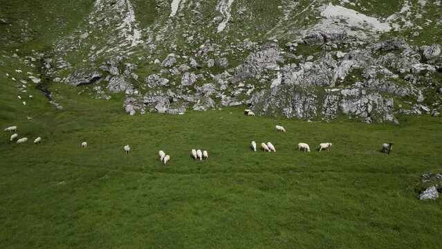 Aerial view of Dolomites Alps near Alta Badia, Trentino-Alto-Adige region, Italy. Summer season.