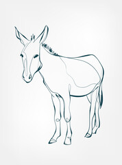 donkey vector line art animal wild life single one line hand drawn illustration isolated