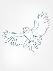 owl vector line art animal wild life single one line hand drawn illustration isolated