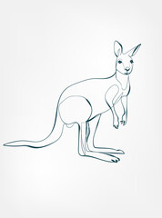kangaroo vector line art animal wild life single one line hand drawn illustration isolated