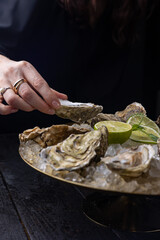 large, beautiful, fresh oysters on a dark table. Close up