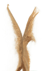 Sand flying explosion, Golden grain wave explode. Abstract cloud fly. Yellow colored sand splash throwing in Air. White background Isolated high speed shutter, throwing freeze stop motion