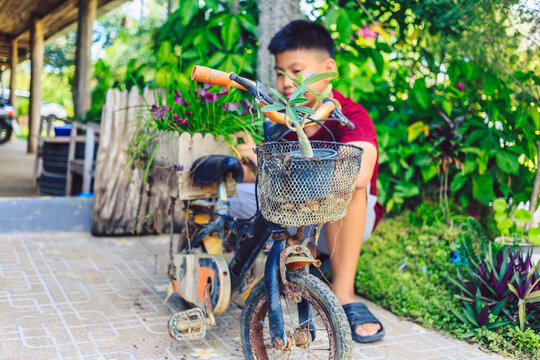Asian boys have found old bicycles by turning them into flower pots for their homes.This creative idea not only makes use of discarded items but also creates a beautiful and sustainable garden design