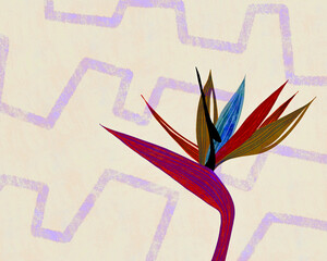 Flower Tropical Floral Strelitzia Botanical Illustration