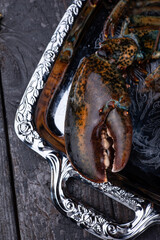 Live lobster on a dark background. Close up