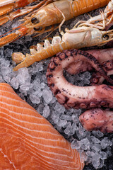 Delicious fresh seafood on ice. Close-up. Octopus, salmon, shrimp.