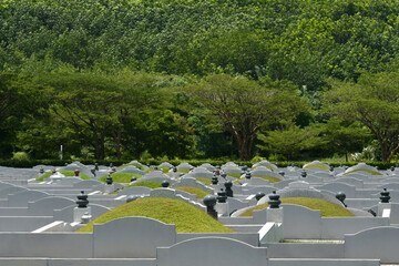 Chinese burial cemetery in the midst of nature surrounded by big trees.