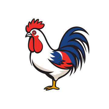 Rooster vector illustration on white background