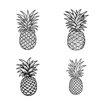 Pineapple set vector illustration in flay style