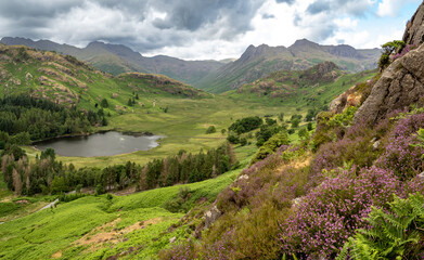 Naklejka premium View of Blea Tarn from Lingmoor Fell, England