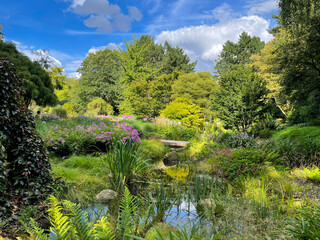 Stunning view of beautiful blooming botanical garden park Loki Schmidt with colorful flowers and trees on sunny summer day - obrazy, fototapety, plakaty