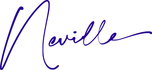 signature series N design illustration