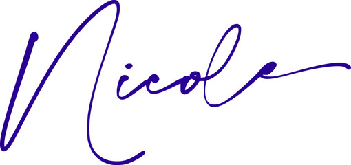 signature series N design illustration