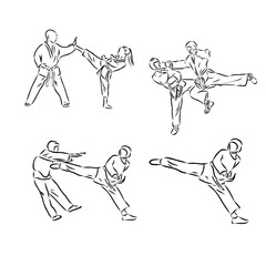 illustration of Taekwondo. Hand drawn. taekwondo vector
