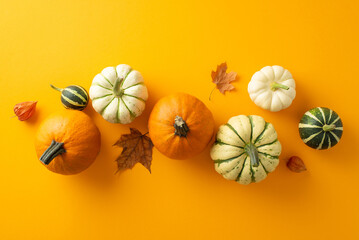 Thanksgiving tradition captured: Top view of pumpkins and pattipans, accented by maple leaves. Physalis flowers embellish the orange background, ideal for ads