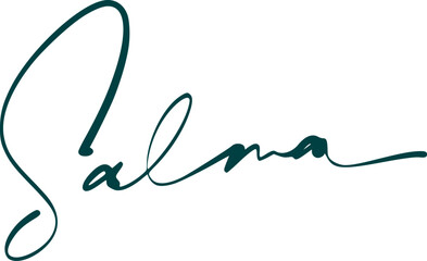 signature series S design illustration