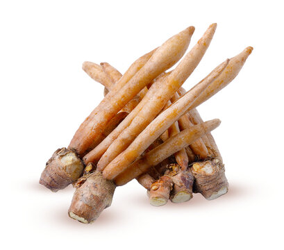 Fingerroot, Kaempfer, Boesenbergia on white background on transparent.