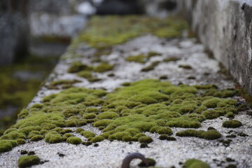 La pierre travaill&eacute;e