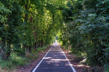 Cycleway in the Adda park near Basiasco at June