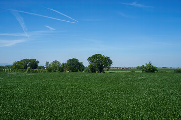 Rural landscape near San Rocco al Porto, Lodi, Italy
