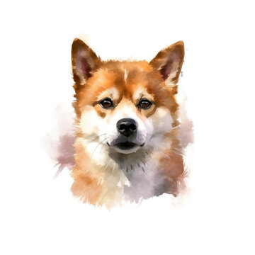 Cute dog hand drawn with style watercolor