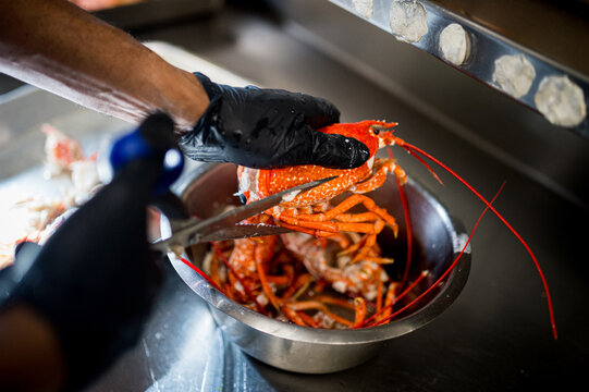 pr&eacute;paration des sauces avec carcasses de langoustes