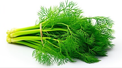 Dill Isolated on White Background: Aromatic Spice Twig with Fresh Leaves and Tree Branch Bouquet. Generative AI
