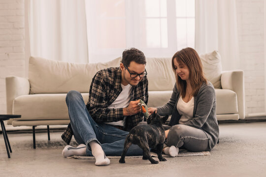 Happy couple is having fun and playing with their French Bulldog puppy at home.Family and animal life concept.