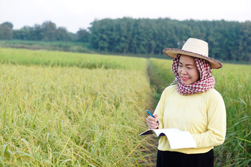 Obraz premium Asian woman farmer is at paddy field, wears hat, yellow shirt, holds notebook paper, inspects growth and disease of plants. Concept, Agriculture research and study to develop crops.