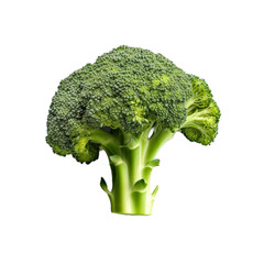 Broccoli isolated on transparent background cutout