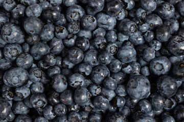 Blueberries close-up on the table