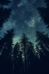 starry night sky in the forest
