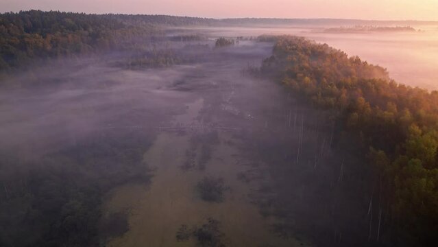 Layered morning haze fog mist at a forest swamp with a wooden bridge - DJI Mavic drone flight above clouds at countyside