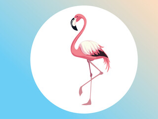 Flamingo vector illustration art bird design 
