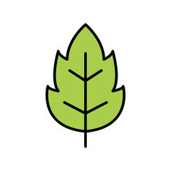 Leaf, herb icon