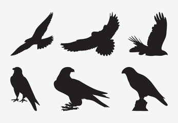 Graceful Falcon Silhouettes Set, Majestic Birds of Prey in Various Dynamic Poses for Versatile Design Use