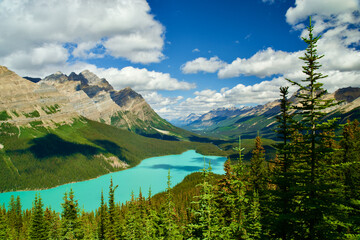 Peyto Lake, Banff